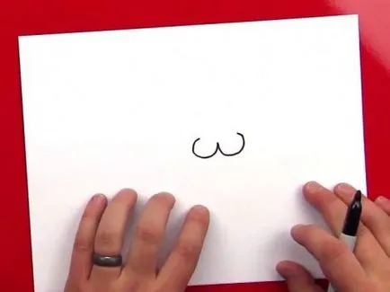 Hogyan kell felhívni a rozmár ceruza szakaszaiban