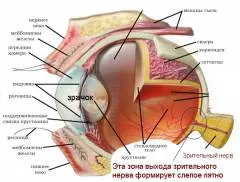 Hogyan lehet megtalálni a holtteret a szemed (szemek?) Hogyan lehet megtalálni a holtteret a szemed