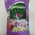 Hogyan elválasztani Babe phalaenopsis orchidea, expertoza