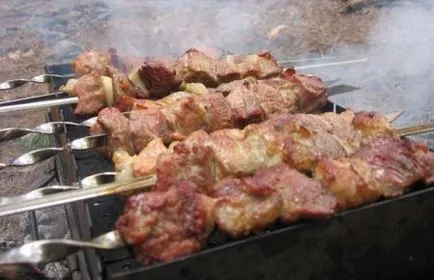 Mit válasszak hús grill