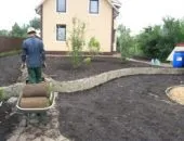 Hogyan transzplantáció luc az erdő a helyszínre, amikor jobb a növény tavasszal vagy ősszel lucfenyő, a jobb oldali videót