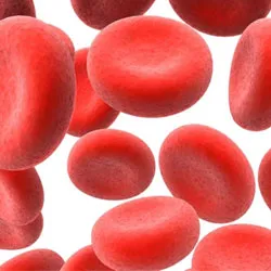 Hogyan lehet csökkenteni a vér hemoglobin otthon