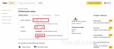 Hogyan fizethet Beeline - az összes rendelkezésre álló technikák (széles körben használt kapcsolat) Hogyan fizethet Beeline - az összes rendelkezésre álló módszerek
