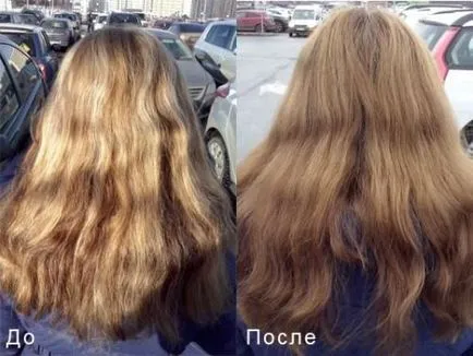 Hogyan kell használni a színező sampon megfelelően (árnyalat) Hogyan kell használni a színező sampon megfelelően