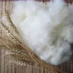 Hogyan mossuk át a szintetikus szőrme - vidám ház (hogyan kell mosni műszőrme) Hogyan mossuk át a szintetikus szőrme - szórakoztató ház