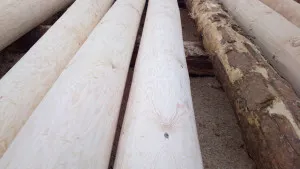 Hogyan építsünk egy házat gerendákból készült saját kezűleg