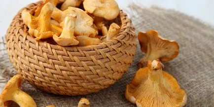Hogyan megsütjük a gombát egy serpenyőben finom és megfelelő recepteket képekkel (rántott gomba) Hogyan megsütjük a gombát egy serpenyőben finom és megfelelő recepteket képekkel