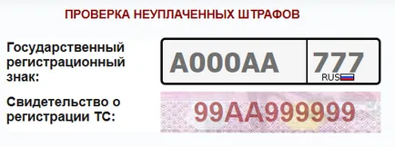 Hogyan lehet ellenőrizni a jogosítványt hitelességének