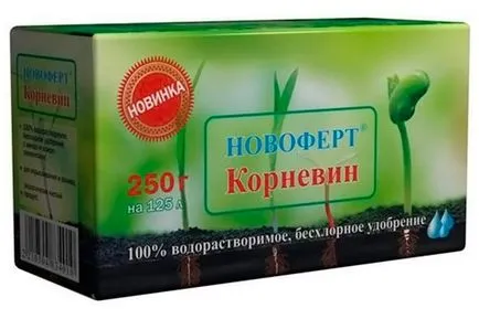 Hogyan növény tuja tavasz - semmi sem könnyebb (gyökér növekedés ment) Hogyan növény tuja tavasz - semmi sem könnyebb