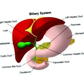 biliáris