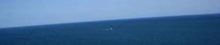 медитеранска