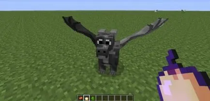 Hogyan Minecraft sárkány és a szelíd (sárkány) Hogyan Minecraft sárkány és a szelíd