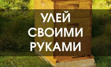 Hogyan, hogy a kaptár a kezüket otthon