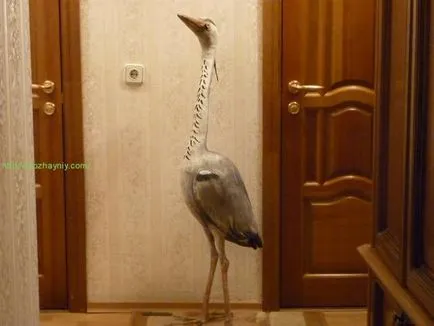 Hogyan készítsünk egy gém műanyag palackok