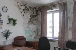 Hogyan távolítható el a penészt a falak, a padló vagy mennyezet (konyha fürdő szoba) Hogyan távolítható el a penészt a falak, a padló vagy mennyezet