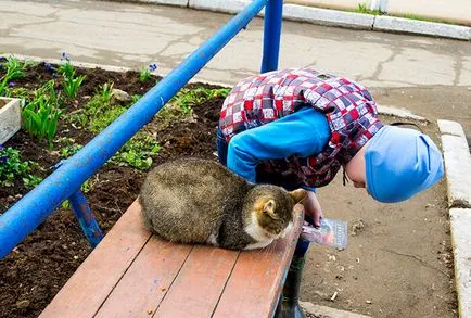 Hogyan kell varrni a mellény, vagy mellény melegítjük Szintepon a gyermek (mellény) Hogyan kell varrni a mellény, vagy mellény melegítjük padding poliészter egy gyermek