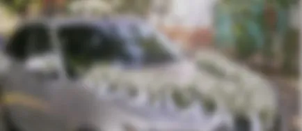 Hogyan lehet díszíteni az autót egy esküvői fotó
