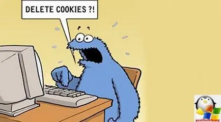 Hogyan lehet törölni a cookie-t (cookie), és mi az a beállítás Windows és Linux szerverek