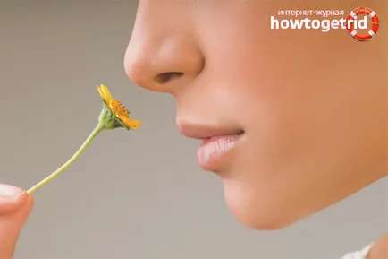 Hogyan hozzuk vissza a szaglás és íz, hideg