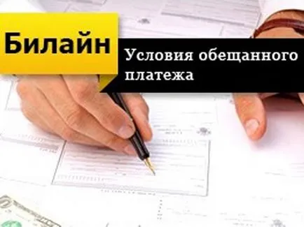 Hogyan hitelt a Beeline, opciók és tanácsadás