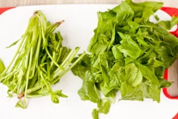 Hogyan befagyasztására spenót - lépésről lépésre recept fotók