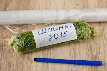 Hogyan befagyasztására spenót - lépésről lépésre recept fotók