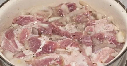 Hogyan pácolt kebab gyors receptek
