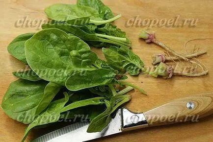 Hogyan befagyasztja a téli spenót - három módszer a fagyasztás, a recept egy fotót