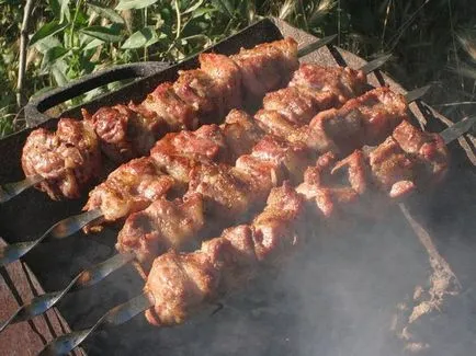 Hogyan pácolt húst shish kebab 1 óra