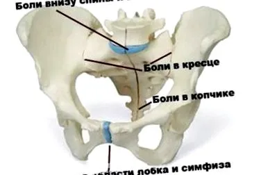 болки видове