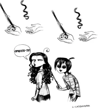 amelyeket
