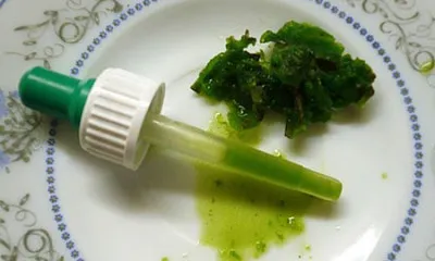 Kalanchoe az orrban gyermek és felnőtt, mint egy csepp, és hogyan lehet egy csepp lé növények