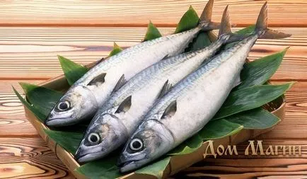 Miért álmodom álom értelmezése hal - hal azaz látni egy álom (álom) Miért álmodom álom értelmezése hal - hal azaz látni egy álom