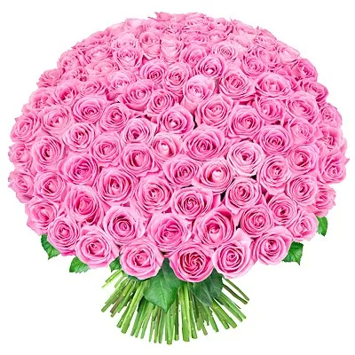 Készítmények esküvői csokrok pionokról, liliom, tulipán, liliom, orchidea, szegfű, brossok és