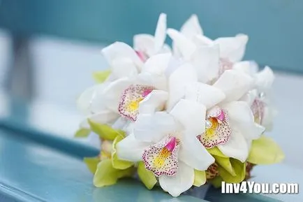 Készítmények esküvői csokrok pionokról, liliom, tulipán, liliom, orchidea, szegfű, brossok és
