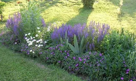 Gyönyörű vidéki ház kezük 40 fényképet Home & Garden