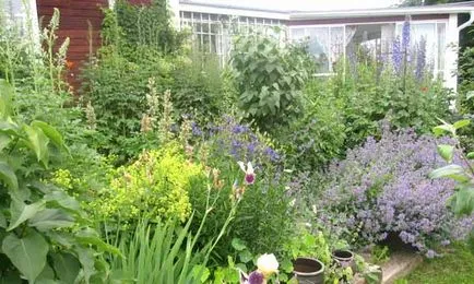 Gyönyörű vidéki ház kezük 40 fényképet Home & Garden