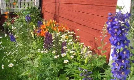 Gyönyörű vidéki ház kezük 40 fényképet Home & Garden
