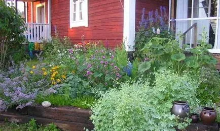 Gyönyörű vidéki ház kezük 40 fényképet Home & Garden