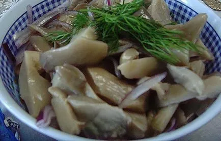 A pácolt osztriga finom gyorsétterem receptek (pácolt laskagomba) A pácolt osztriga finom gyorsétterem receptek
