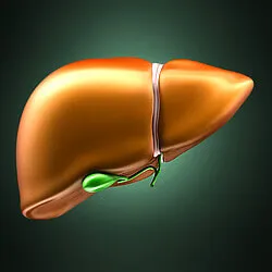 Kábítószer-kezelés steatosis hepatitis