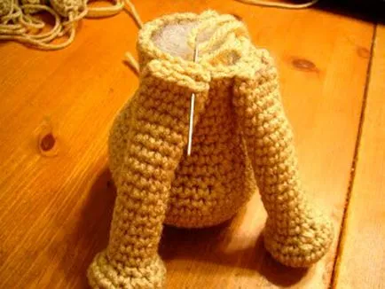 U Yorkshire terrier horog