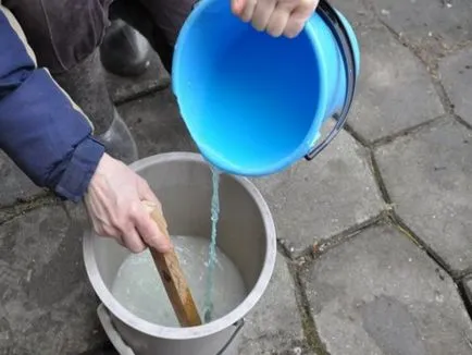 A réz-szulfátot alkalmazunk egy bordói keverék a kertben (-szulfát) A réz-szulfátot alkalmazunk egy bordói keverék a kertben