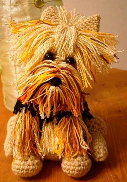 U Yorkshire terrier horog