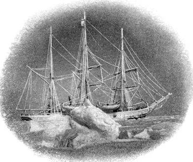 déli-sarkig