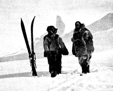 déli-sarkig