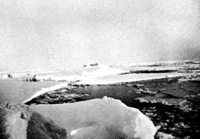déli-sarkig