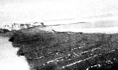 déli-sarkig