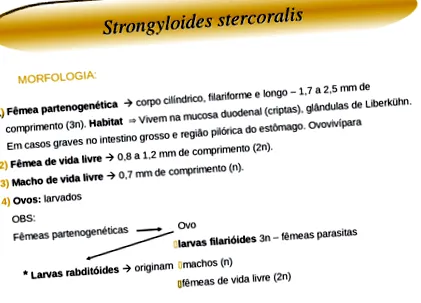 vermicularis