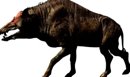 entelodonts
